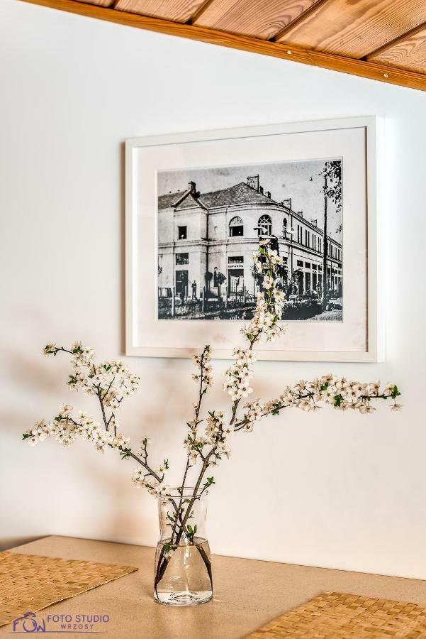 Apartamenty Zdrojowa Ciechocinek Dış mekan fotoğraf